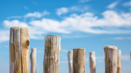 A group of wooden posts stands tall in front of a clear blue sky. The posts are weathered and aged, contrasting with the vibrant sky behind them.の素材