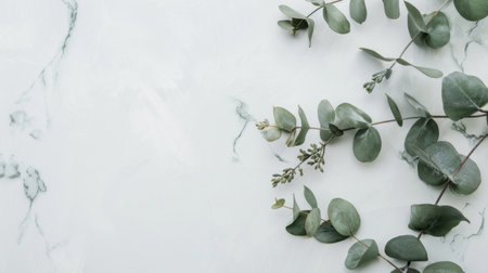 A white marble background set against a backdrop of fresh, green leaves scattered elegantly. The stark contrast between the crisp white surface and the vibrant foliage creates a striking visual display.の素材