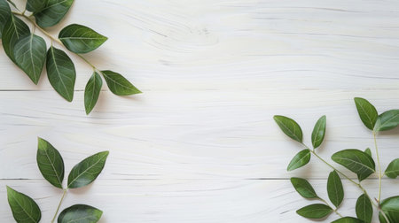 Various shades of green leaves are arranged neatly on a white wooden background, creating a harmonious contrast. The leaves are vibrant and healthy, showcasing their natural beauty in a simple and elegant display.の素材