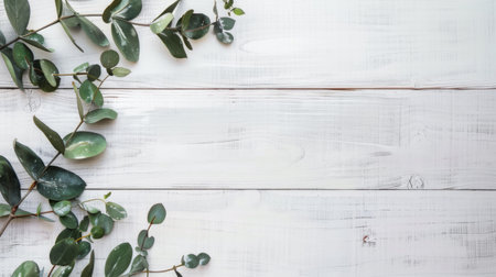 Fresh green eucalyptus leaves are arranged on a clean and smooth white wooden surface. The leaves are intact and exhibit their unique shape and texture against the bright backdrop.の素材