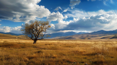 A single tree stands tall in the middle of a vast field, with majestic mountains looming in the backdrop. The tree is the focal point and contrasts with the rugged mountains in the distance.の素材