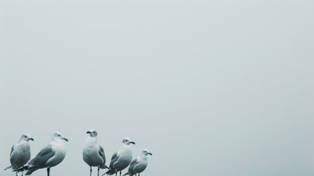 A flock of seagulls is perched on a wooden post, overlooking the coastline. The seabirds are standing close together, with some flapping their wings or preening their feathers.の素材