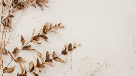 In this close-up shot, a plant is seen thriving on a wall, showcasing its vibrant green leaves and delicate stems. The plants roots are firmly attached to the wall, demonstrating its resilience and adaptability to unusual growing conditions.の素材