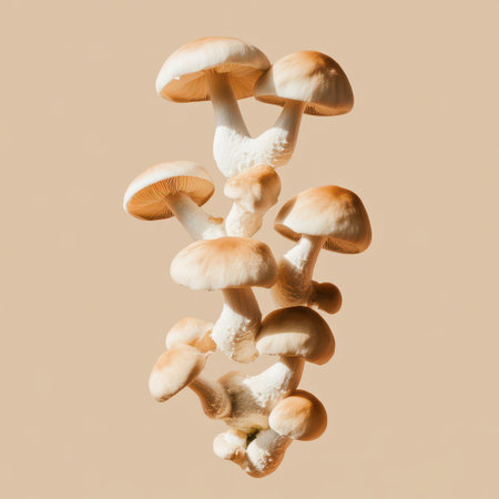 A cluster of soft colored mushrooms stands against a neutral background showcasing their unique shapes and textures in gentle light.の素材