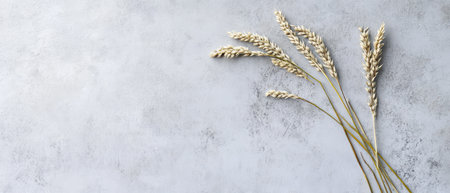 A bundle of dried wheat stalks laid carefully on a light gray textured surface. This natural display evokes a rustic and organic feel.の素材