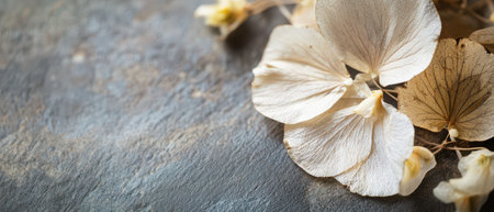 A collection of dried flowers rests on a dark textured surface showcasing their intricate details and muted colors.の素材
