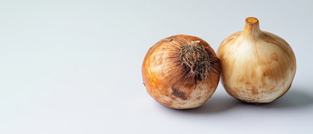 Two whole onions one brown and one white are arranged on a neutral background showcasing their natural textures and colors.の素材