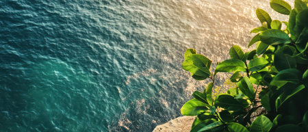 Gentle waves reflect sunlight while green leaves frame the edge of a rocky cliff creating a serene coastal view during the late afternoon.の素材