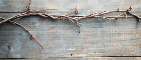 Twigs are laid out on a rustic wooden surface showcasing their intricate shapes and textures against the grain of the wood.の素材