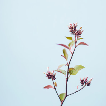 Delicate branch adorned with tiny flowers and light green leaves stands out against a pastel blue background showcasing natures elegance.の素材