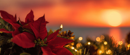 Colorful poinsettias glow in the golden light of sunset while New Year celebrations create a festive atmosphere by the water.の素材
