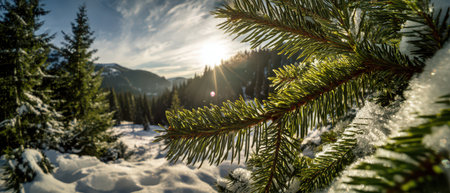 Snow covered mountains stretch beneath a clear blue sky with frosted pine branches sparkling in the sunlight as the New Year begins.の素材
