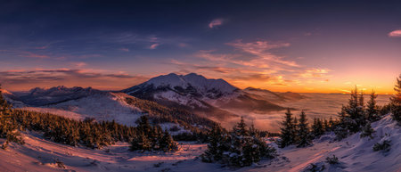A breathtaking sunrise casts golden hues over snow covered peaks and forests signaling the arrival of the New Year during the festive season.の素材
