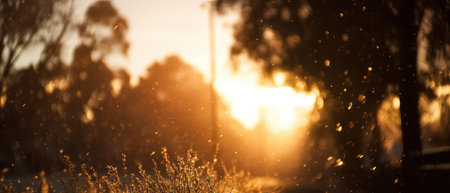 Delicate bokeh lights dance in the warm glow of sunrise celebrating the start of a new year amidst natureの素材