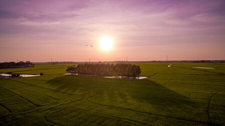 Paddy fieldの写真素材