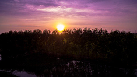 Sunsetの写真素材