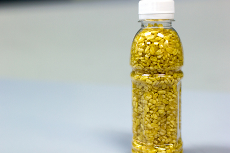 Hulled-split monk bean in plastic bottleの写真素材