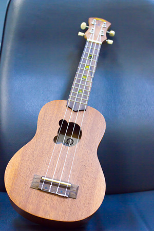 The brown ukulele on the black backgroundの写真素材
