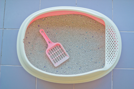 Cat litter or cat sand with cat litter scoop in little box.の写真素材