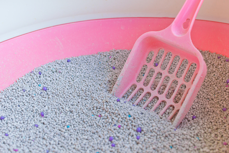 Cat Litter or cat sand with cat litter scoop in little box.の写真素材