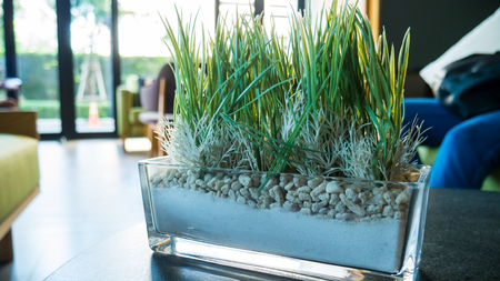 Grass in pot glass on black table in room.の写真素材