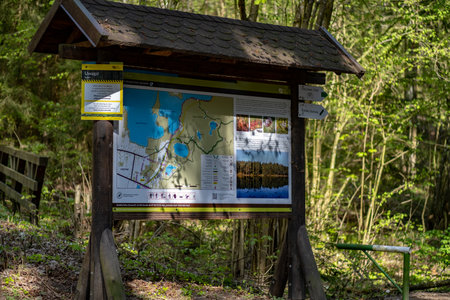 Hiking trail in the forest with a map of the country.の写真素材