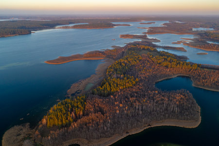 Aerial view of the lake and forest at sunset in autumn.の写真素材