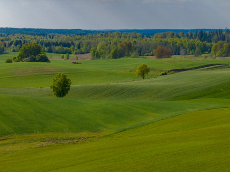 Beautiful spring landscape with green fields and trees in the background.