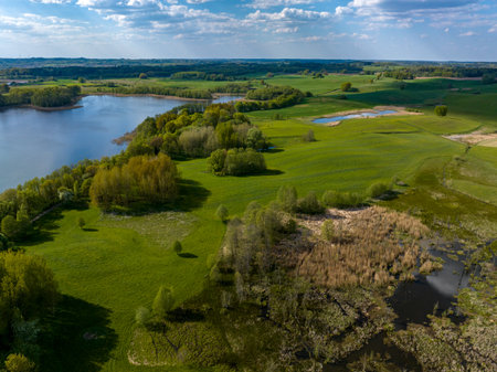 Aerial view of the lake and forest in spring. drone photographyの写真素材