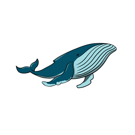 Vector cute cartoon whale on white background. Whale vector illustration. Greeting card.のイラスト素材