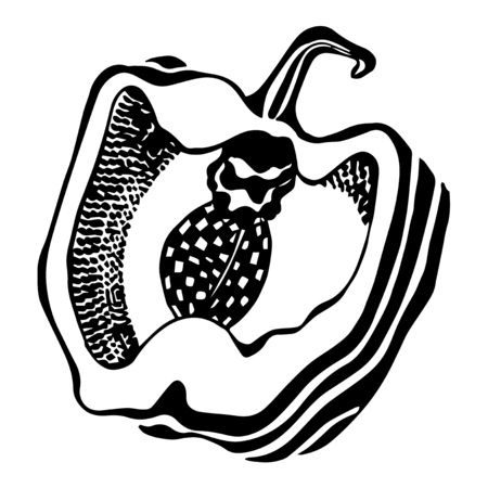 Sweet pepper in a cut. Hand-drawn graphics in vector on transparent background.のイラスト素材