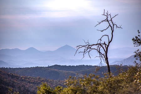 View from the back roads of Cuyamaca Lakeの写真素材