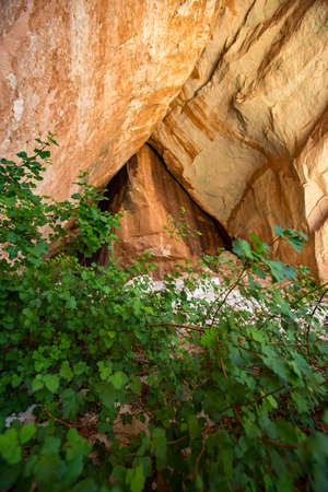 Moab Utah has plenty of geological features and interesting plantsの写真素材