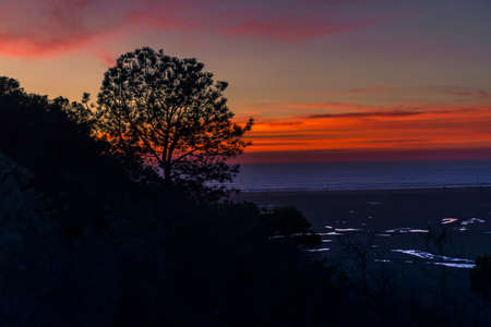 Silhouettes at sunset near the San Elijo Lagoonの写真素材