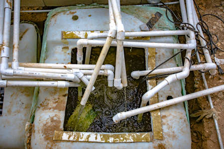 Aquaponics and Hydroponics support heavy vegetationの写真素材