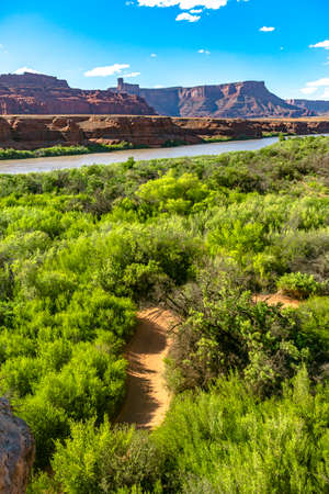 Off road vehicle views of Moab Utah trails on bright sunny daysの写真素材
