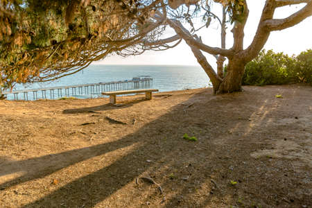 Lonely bench at golden hour at the Scripps Panoramic landscape picture of a lonely wooden bench with scenic ocean view and Scripps pier in the backgroundの写真素材