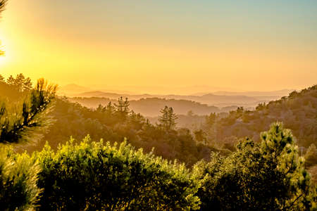 long shadows of a row of trees in a green valley at the twilightの写真素材