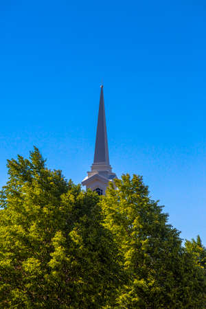 Church steeple with trees covering base