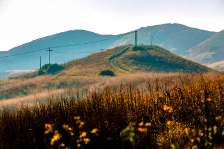Hiking sunny hills in San Clemente Calfiornia