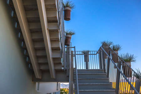 Potted plants on edge of staircaseの写真素材