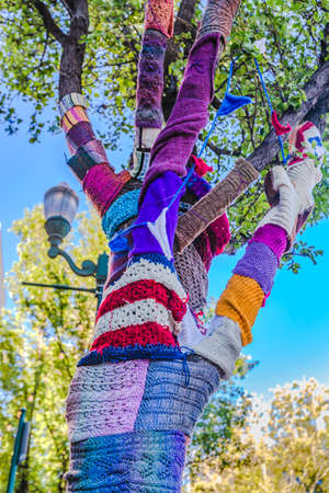 Decorative knitted yarn all the way up treeの写真素材