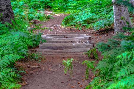 Trail features for trials riding on a bicycle or dirt bike in Snowbird, Utah. These features on a...