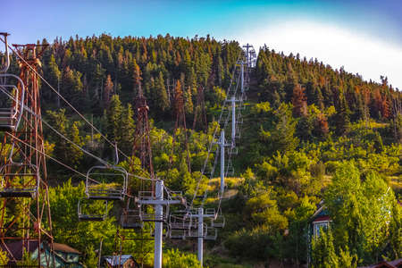 Park City chair lift between trees summerの写真素材