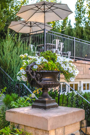 Potted white flowers in a planter on pedestal Potted white flowers in a planter on pedestal