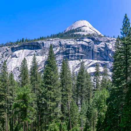 White mountain and towering trees in Yosemite CAの写真素材