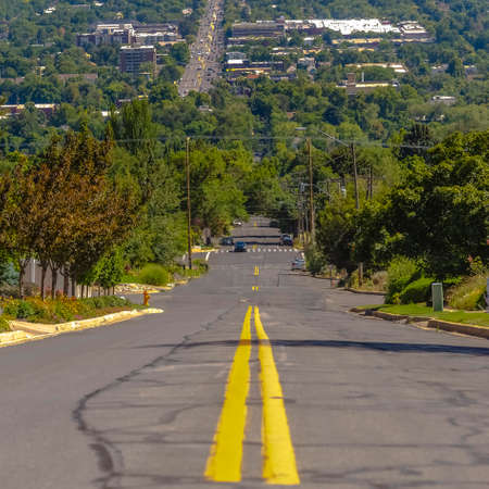 Paved road with power lines buildings and treesの写真素材
