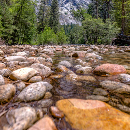 Shallow stream with trees and mountain in Yosemite