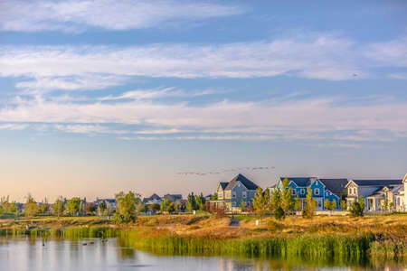 Flock of birds in the cloudy sky over Oquirrh Lakeの写真素材