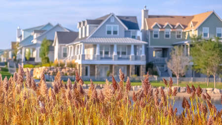 Sunlit homes beyond grasses in Oquirrh Lake Utahの写真素材